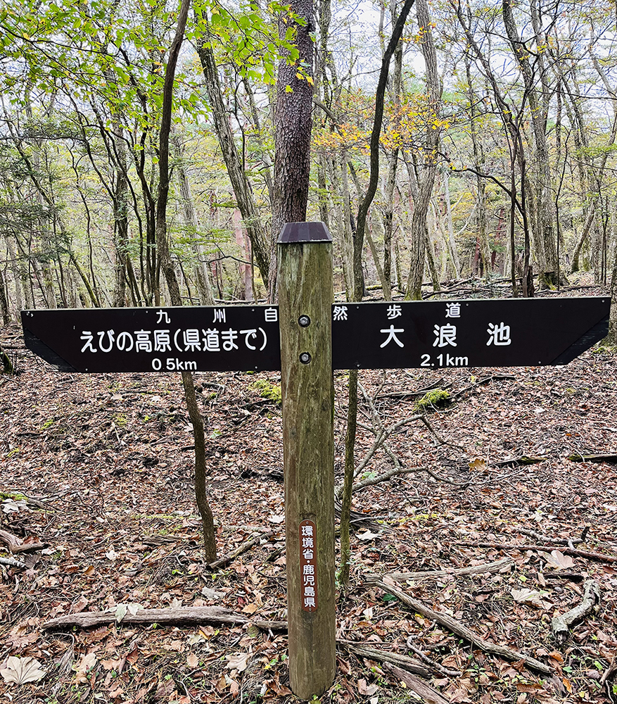 鹿児島の短い秋を楽しむ